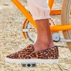 BIRDIES The Swift Leopard Print Calf Hair Slip-on Sneakers